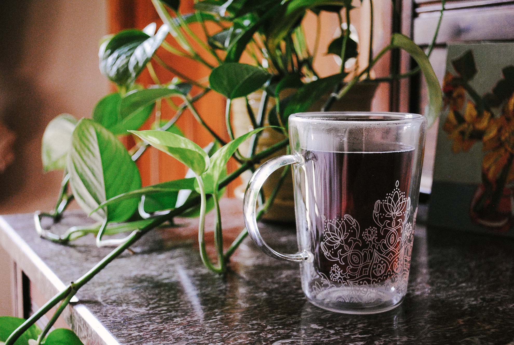Chicory Tea Co. brewed in a cup with a plant in the background