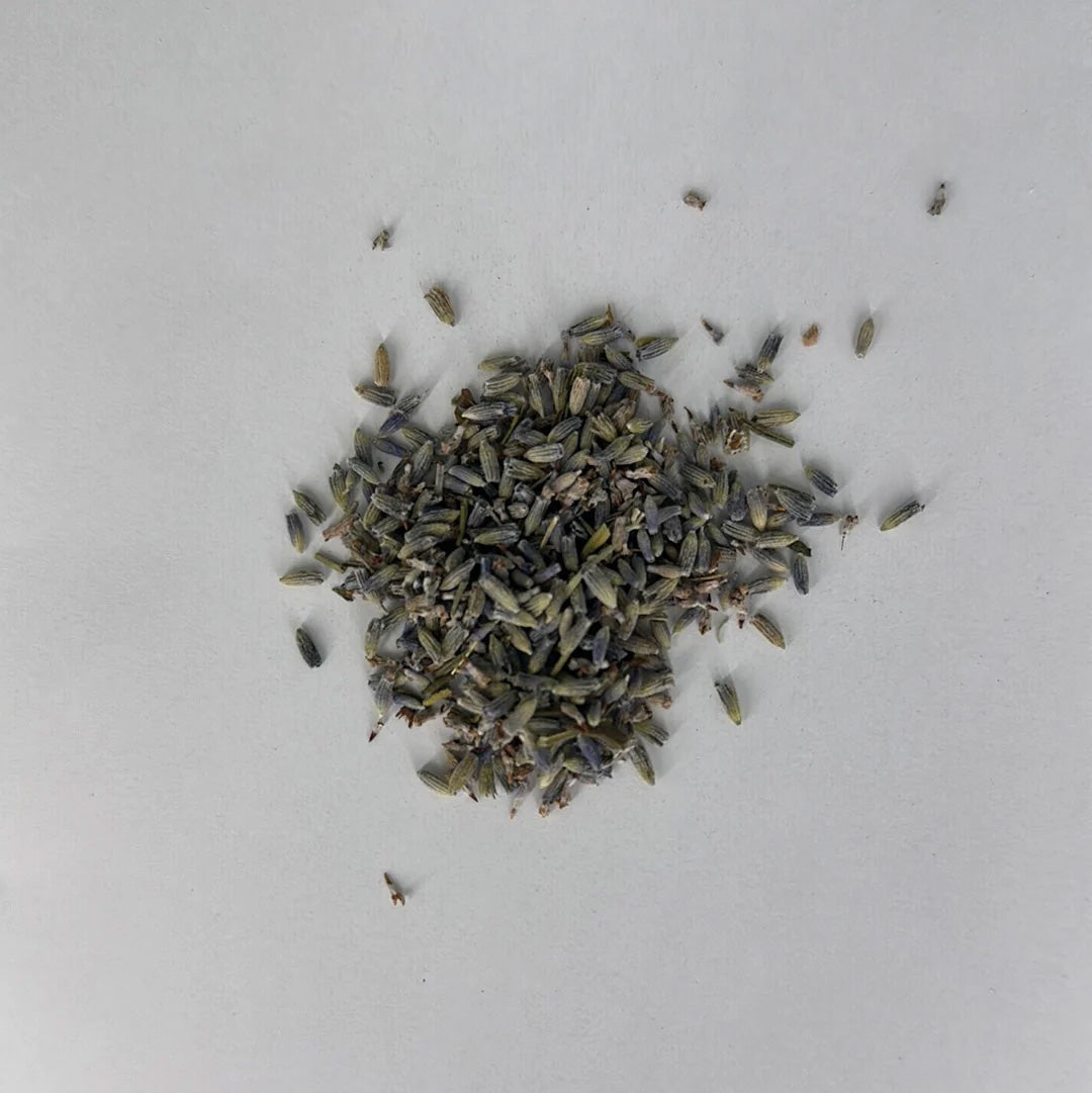 Chicory Tea Co.'s Lavender Mint loose leaf, view from top